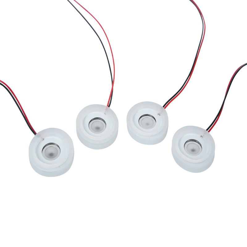 Φ15 mm elektronisches Gerät zur RaucherentwöhnungSchönheitsinstrumentMedizinisches Mesh-NebeltablettLuftbefeuchterAromatherapie-NebelgerätHeizgerätMesh-NebeltablettEdelstahl-Micro-Mesh-NebeltabletteROHS