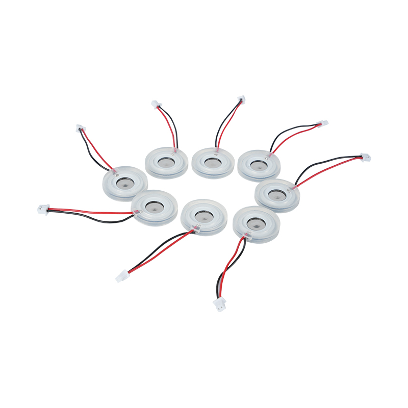Φ16 mm mikroporöse Nebelplatte, piezoelektrische Keramik, großes Nebelvolumen, Heizung, Nebelplatte, Diffusor, Sprühlochplatte, Netz-Nebelplatte