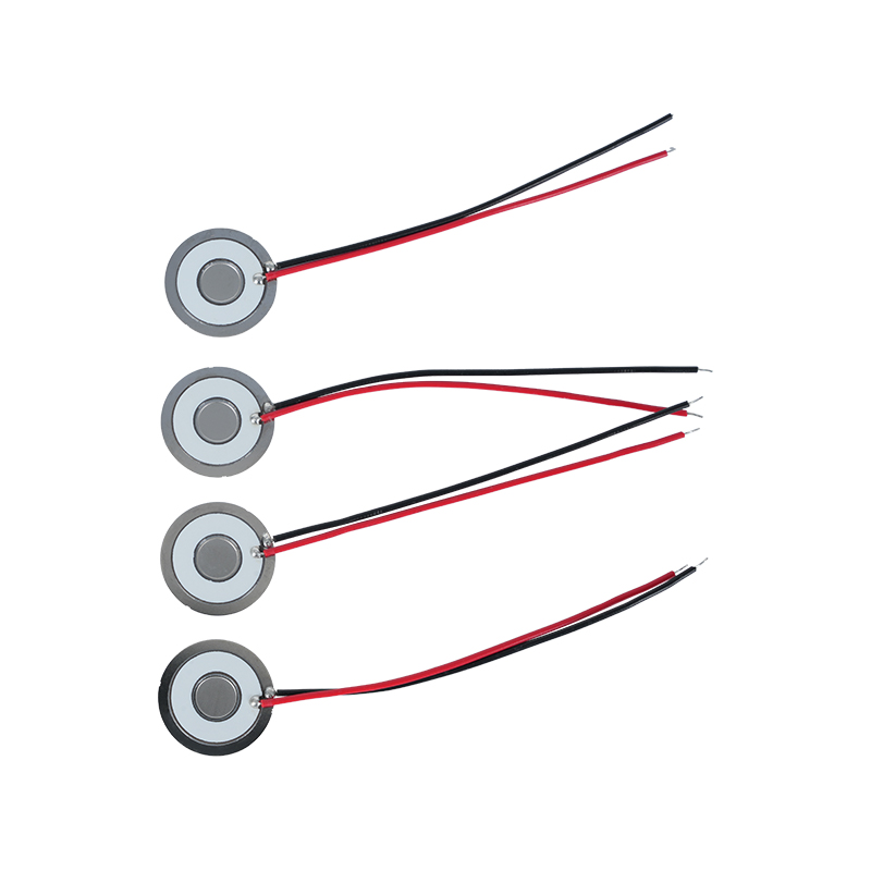 Φ20 Zerstäubungsscheibenfrequenz 111 kHz304 Edelstahl-Mikronetz-Zerstäubungsscheibennetz-Zerstäubungsblatt Klimaanlage Kühler Kühlschrank Frischebefeuchtungsnetz-Zerstäubungsdispergierblatt Zerstäubungsrate > 800 ml/h