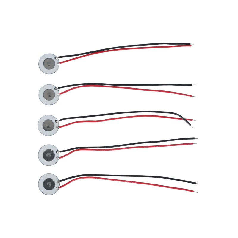 Mikroporöser 10-mm-Zerstäuber aus rostfreiem Stahl, Beauty-Hydratationsinstrument, Mundspray, Parfümspray, Befeuchtung, Desinfektion, Netzzerstäuber, gilt auch für elektronische Raucherentwöhnungsgeräte und andere Produkte