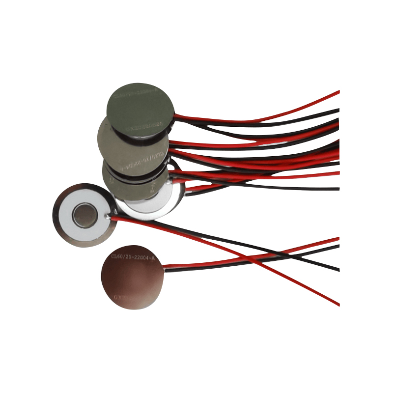 Φ15 mm elektronisches Gerät zur RaucherentwöhnungSchönheitsinstrumentMedizinisches Mesh-NebeltablettLuftbefeuchterAromatherapie-NebelgerätHeizgerätMesh-NebeltablettEdelstahl-Micro-Mesh-NebeltabletteROHS